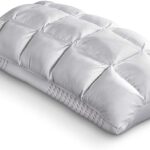 Purecare Body Chemistry Pillow Latex