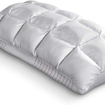Purecare Body Chemistry Pillow Latex
